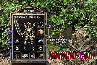 网通传奇发布网站