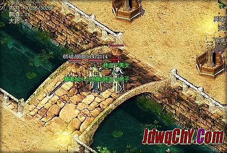 单职业传奇辅助用什么